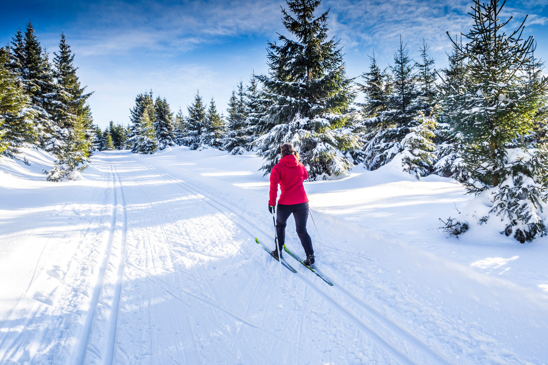 Frau Beim Langlaufen In Winterlandschaft